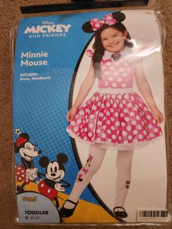 Minnie Mouse Costume