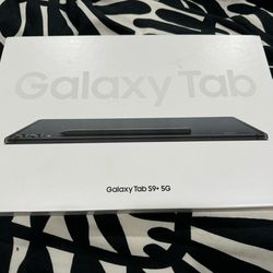 Galaxy Tab S9+ 5G graphite 256GB