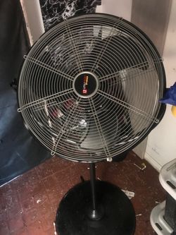 Big fan