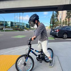 Guardian Bike 16 Inch