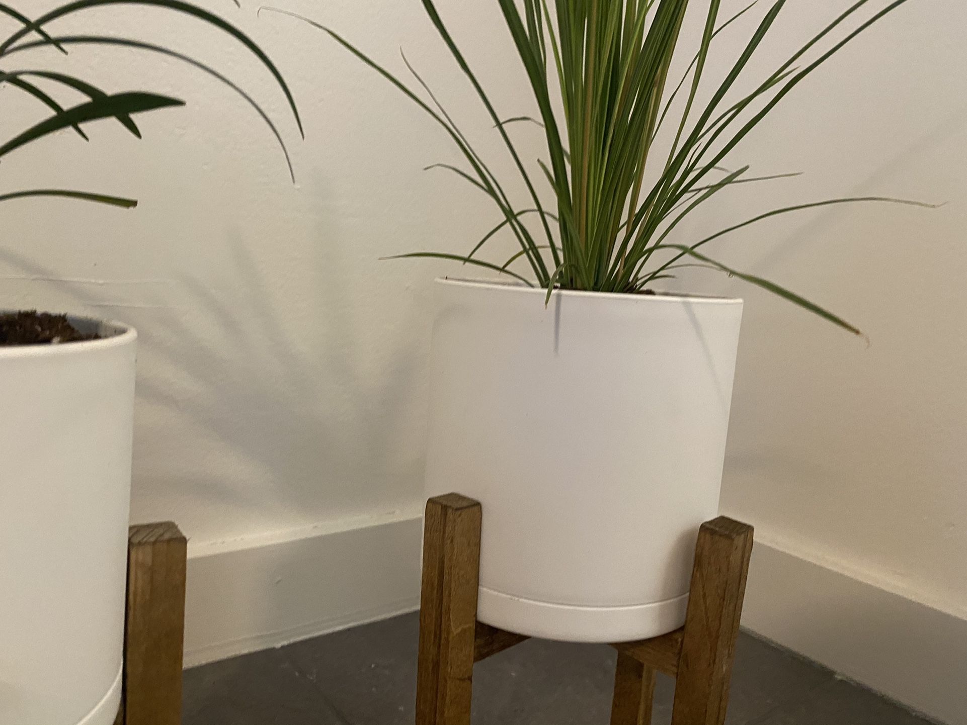 House Plants Planters and Stands Set Of 3