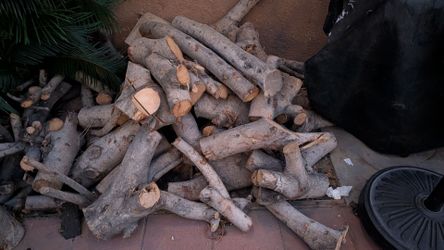 Fire wood (free)
