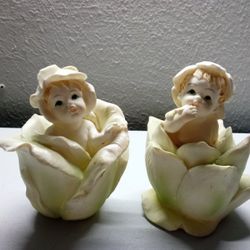 Plant Baby Decor 