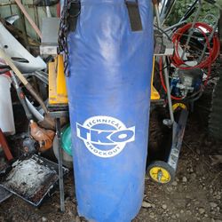 Punching Bag