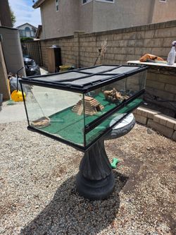 Reptile set up. Tank