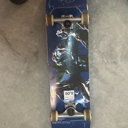 Moderately Used Skateboard 