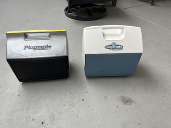 Mini Ice Chest