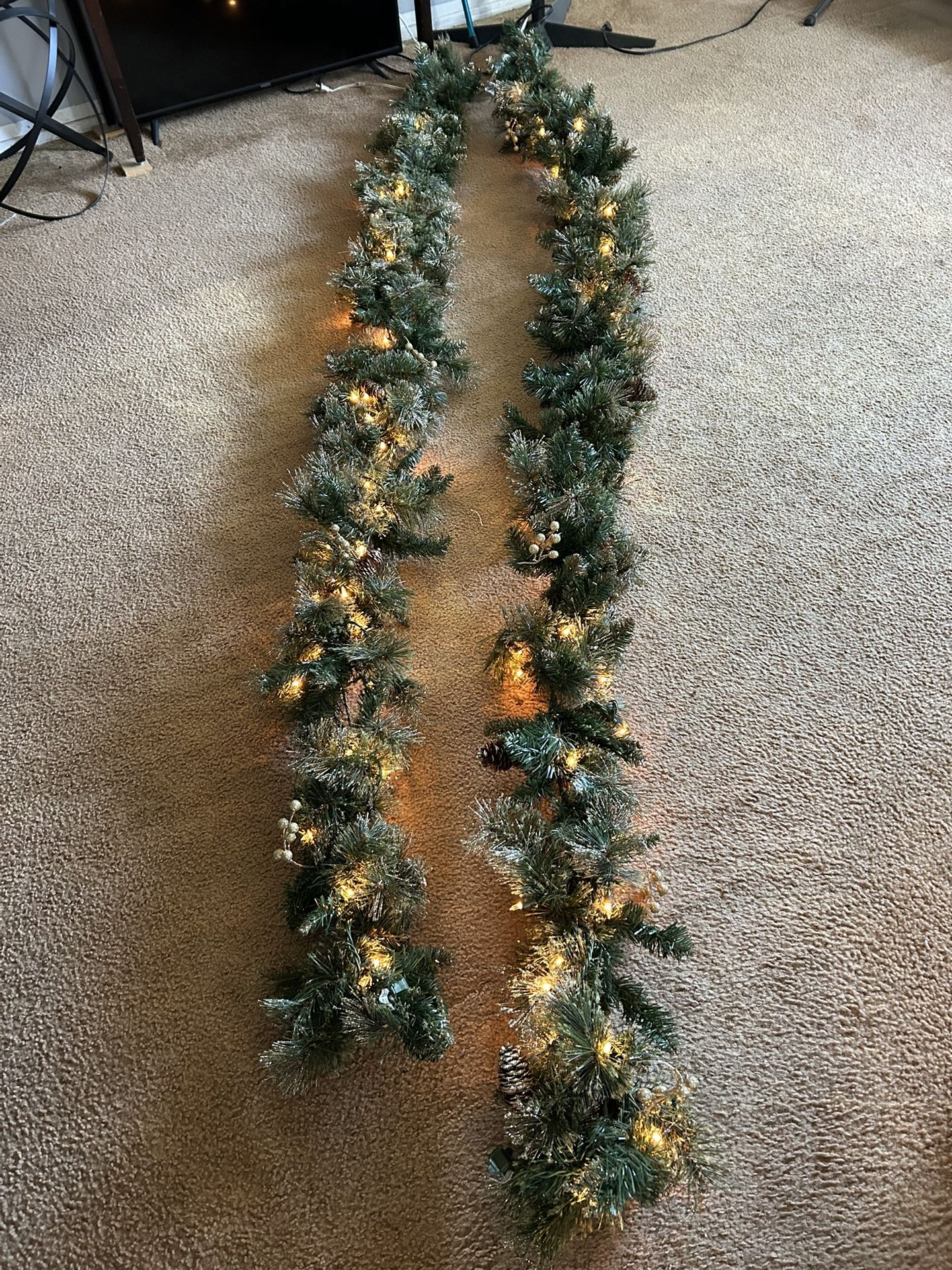 Garland 10 Ft . 2x$30