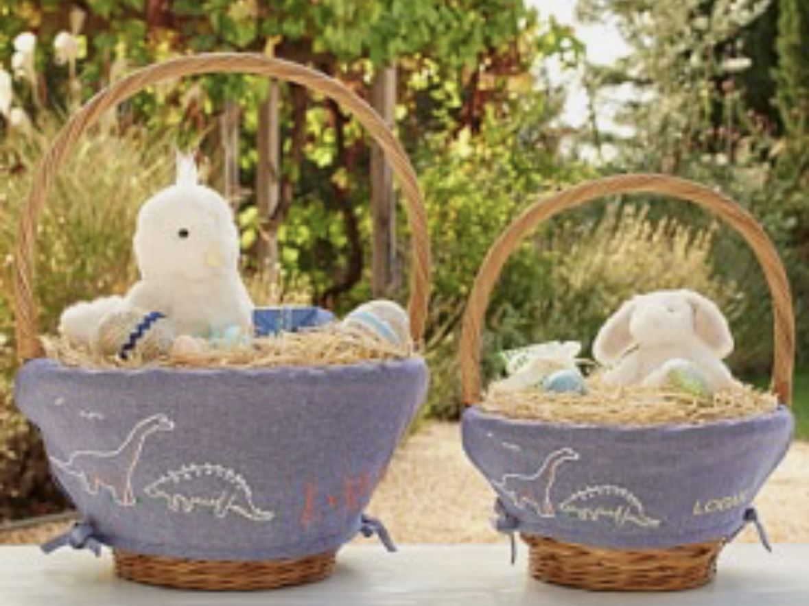 Pottery Barn Kids Dinosaur Easter Basket Liner