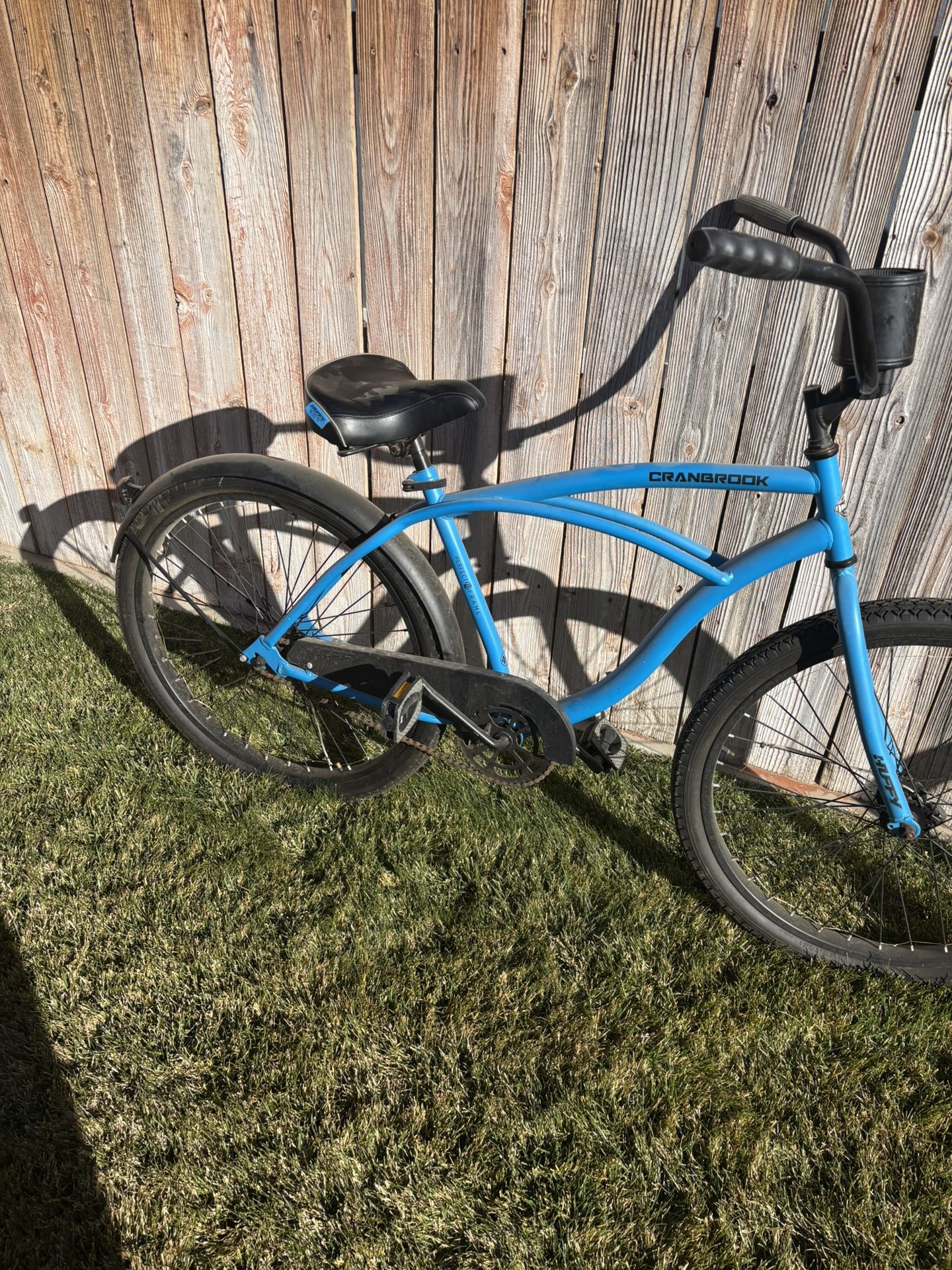 Beach Cruiser