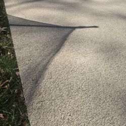 18x12  Carpet 