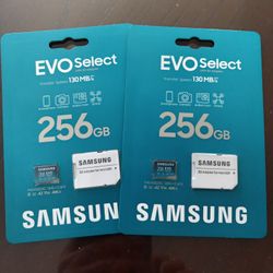 Samsung Evo 256gb Micro SD