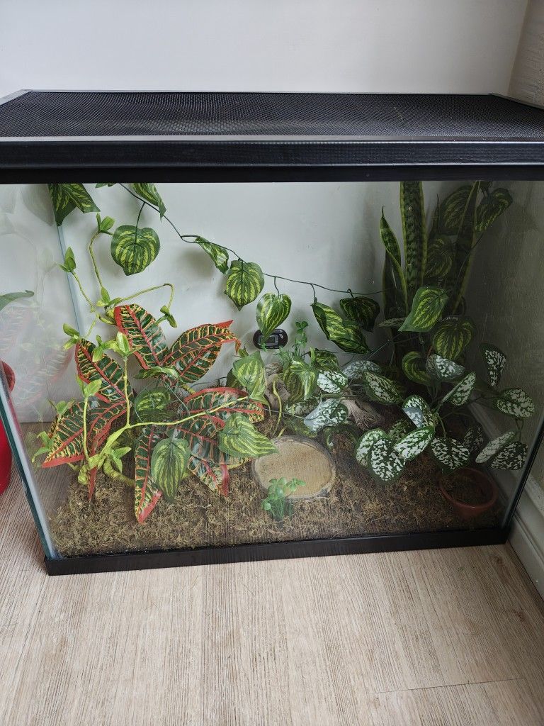 $20 reptile Terrarium Tank