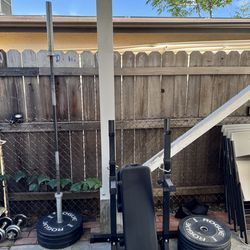 Rogue echo bumper plates with barbell and squat racks and seat