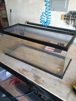 Reptile tank 20 gallon