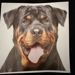Car Decal Sticker 6 in. by 5.5 in.