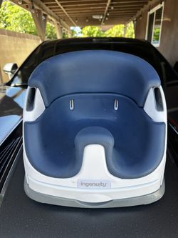 Ingenuity Baby/Toddler Seat