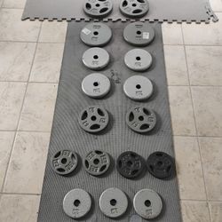 100 Ibs Of Weight Plate With Curl Bar 