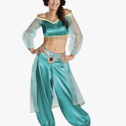 Princess Jazmine Costume