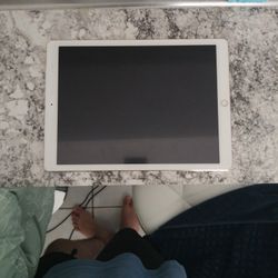 ipad Pro (12.9 Inch) CELLULAR AND WIFI 256 GB