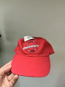 1980s Delaware Hat With Vintage Walmart Original