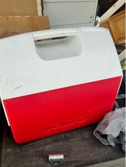 igloo ice chest