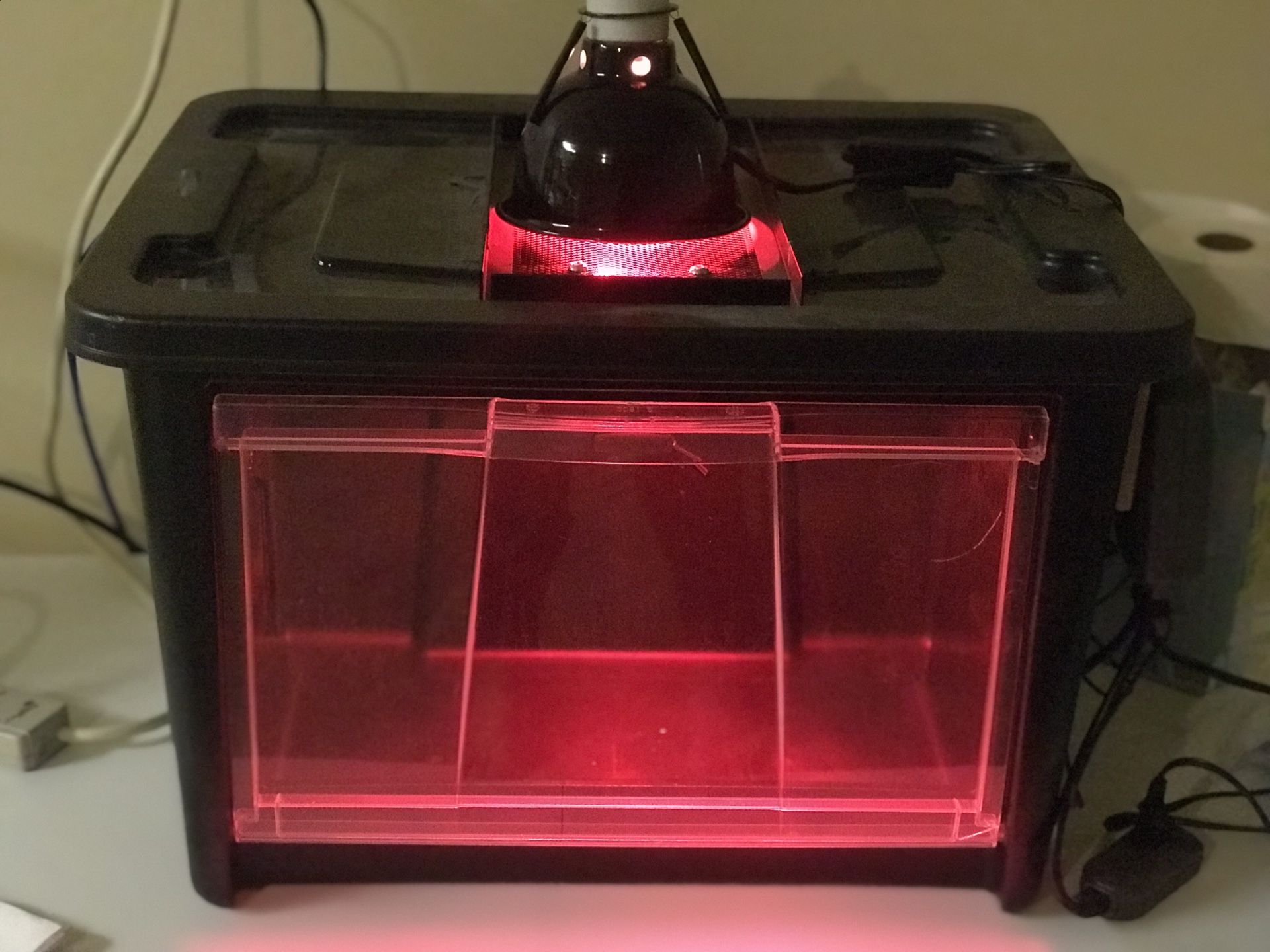 Puppy incubator with Oxygen Concentrator for Sale in Fresno, CA OfferUp