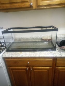 20 Gallon Reptile Tank