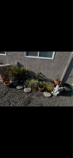 All for 80 there are over a 100 in cement stones