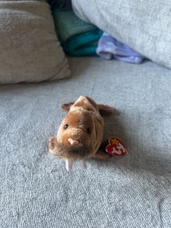 Ty Beanie Baby Paul Plush Beanbag Stuffed Animal 1999 Vintage Beanie Babies