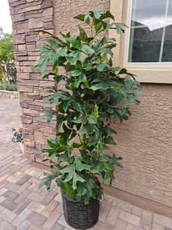 2, 6 ft tall artificial plants in baskets