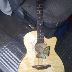 Butterfly  Electric New Acoustic Guitar 