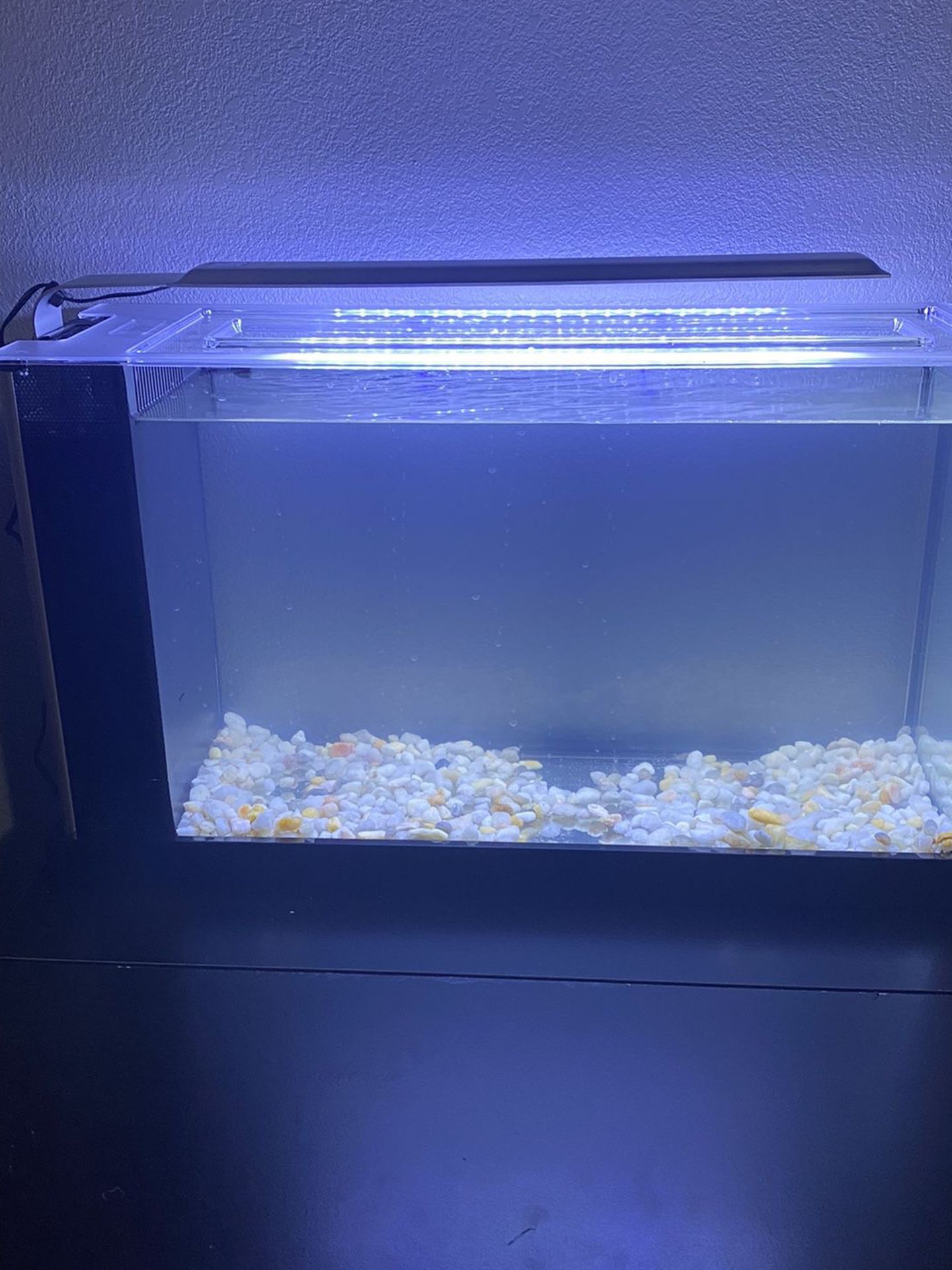 Fluval Spec V 5 gallon Aquarium