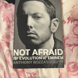 Eminem Book: Not Afraid The Evolution Of Eminem