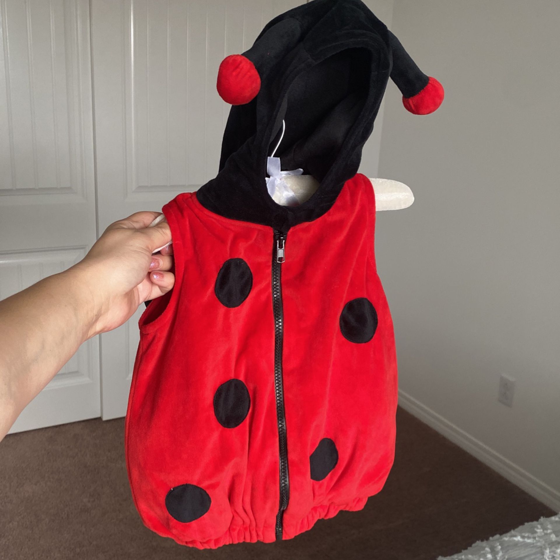 Baby’s lady bug Costume 