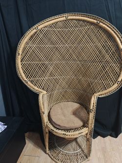 Peacock Chair 