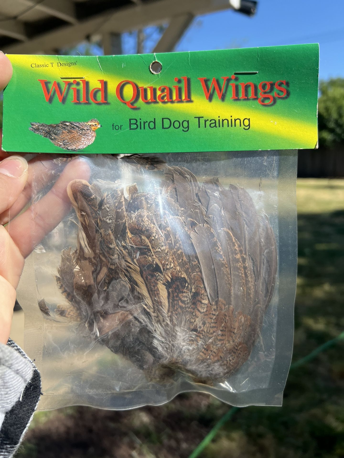 Wild Quail Wings