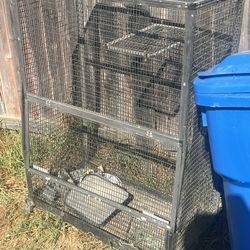 Reptile / Bird Cage
