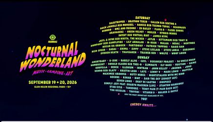 Nocturnal wonderland camping wristband