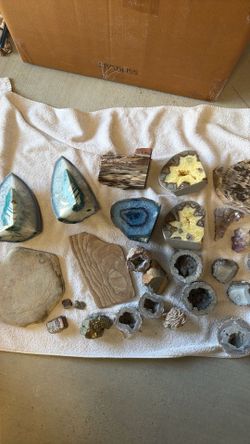 Geodes and Petrified Wood