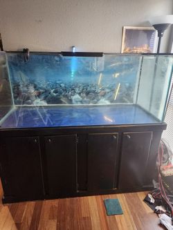 150 Gallon Fish Tank With Stand