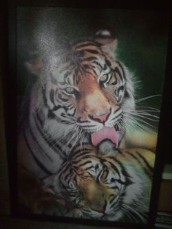 Tiger picture frame