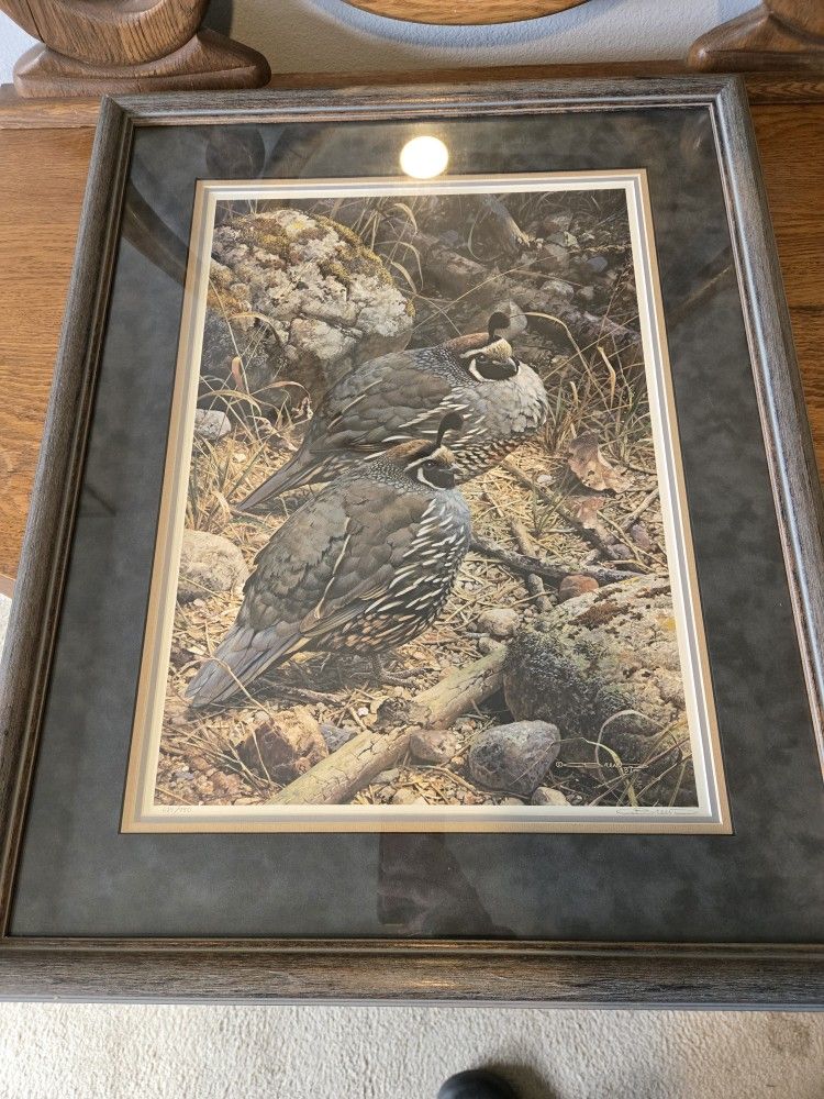 Carl Brenders California Quail Limited Print