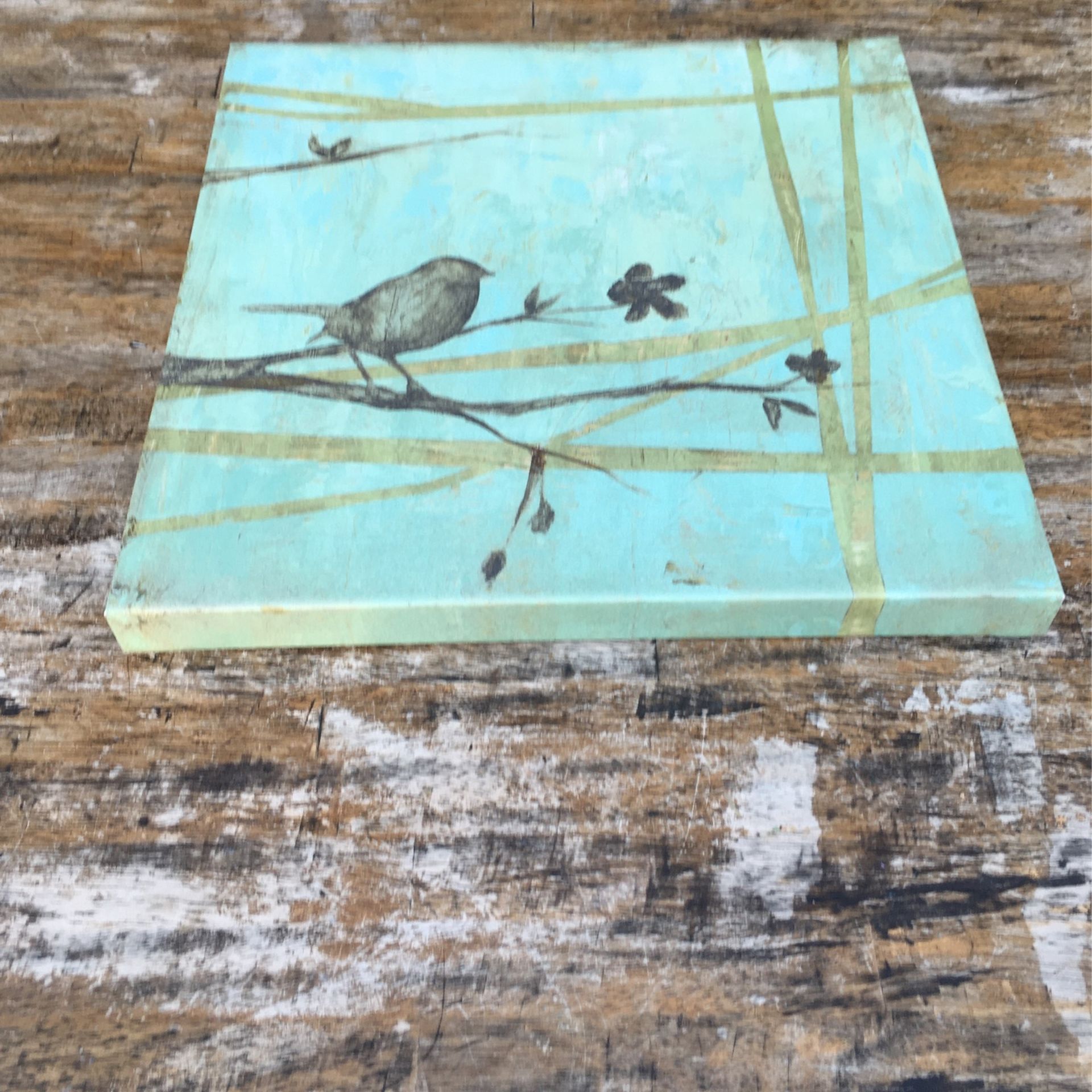 Canvas Bird Picture