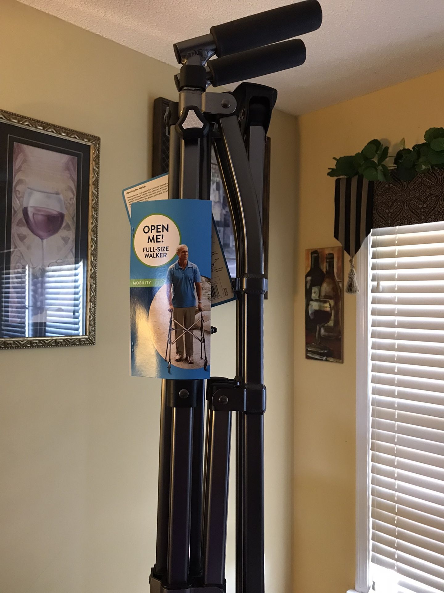 Wallgreens Black Space Saver Walker