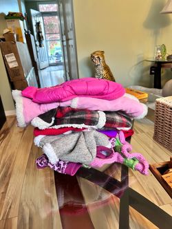 Small Dog Coats