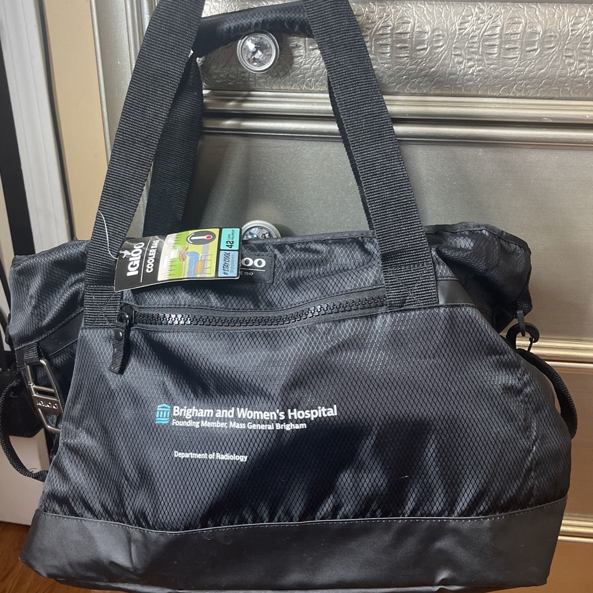 IGLOO Cooler Bag