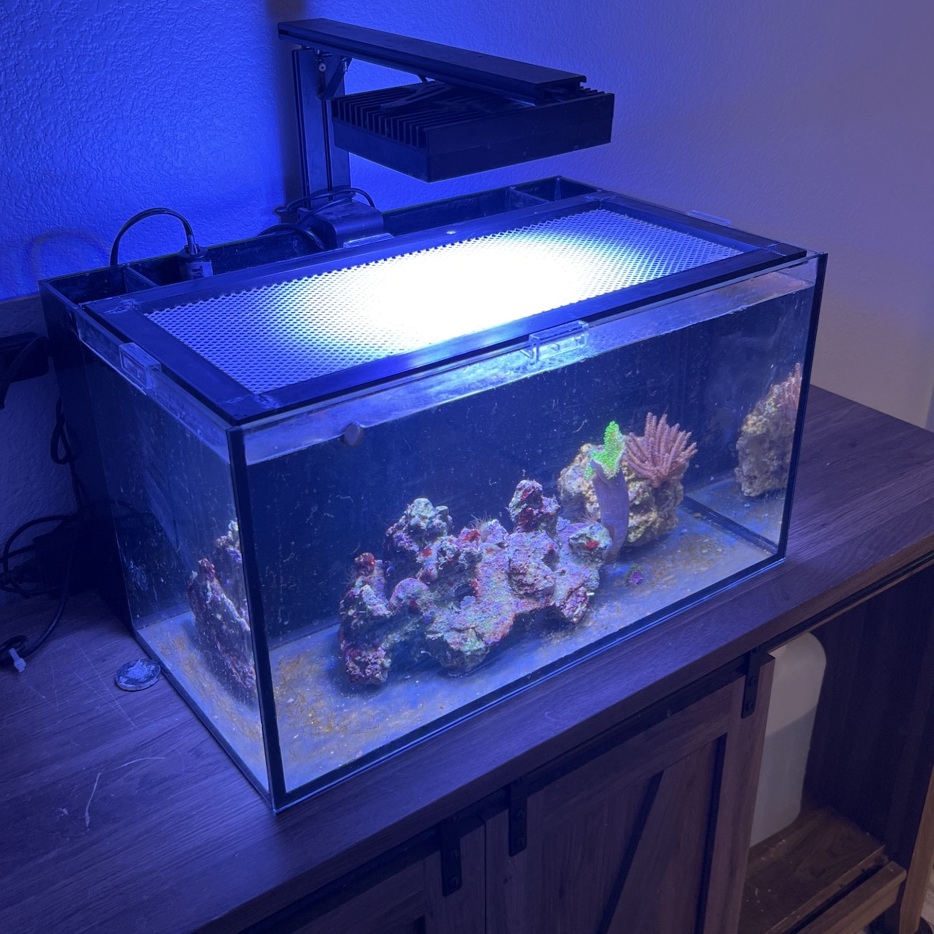 Innovative Marine 20g Tank