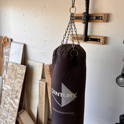 Punching Bag 
