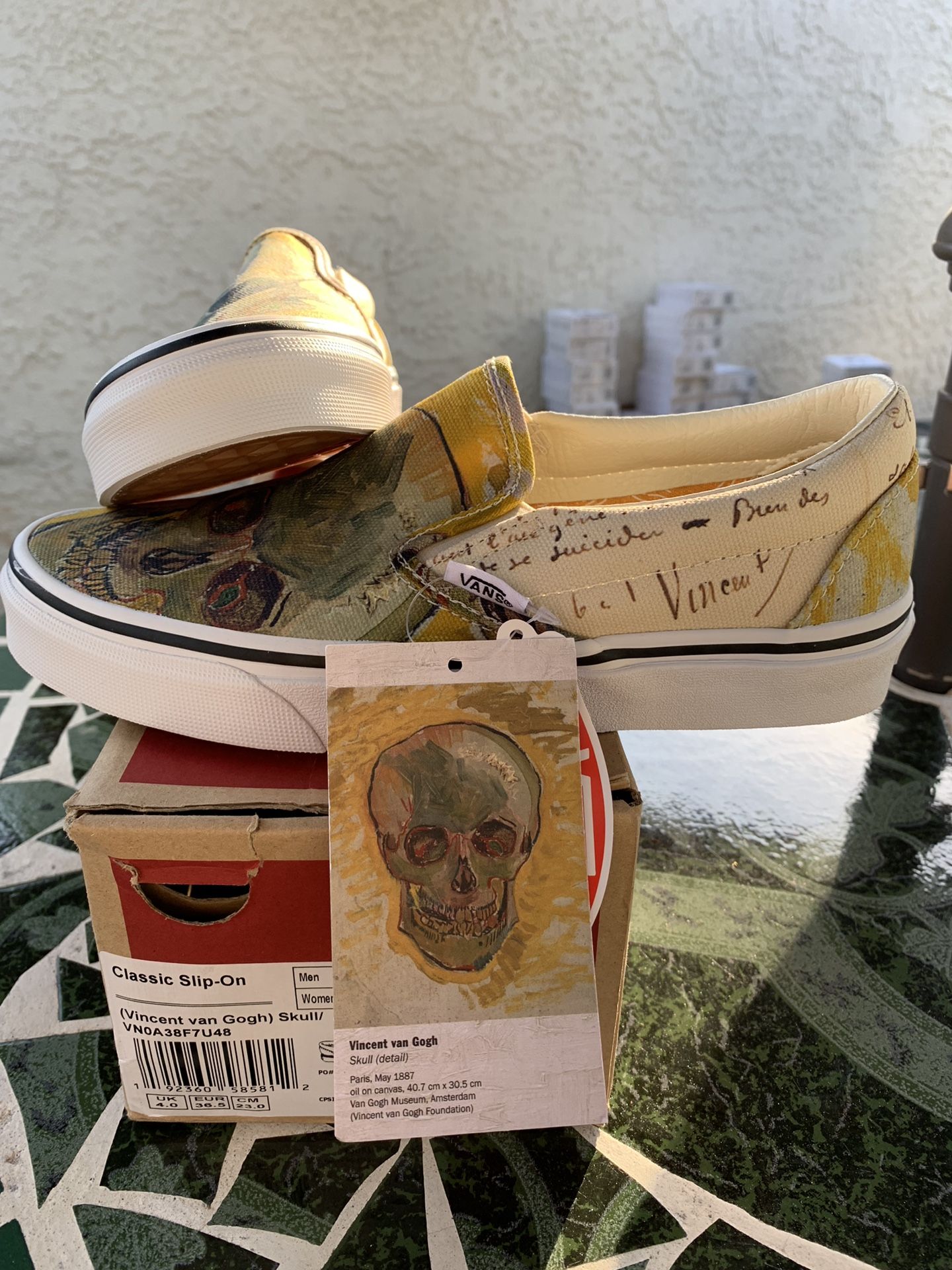 Vans Vincent Van Gogh skull slip ons